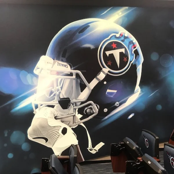 TitansWallHelmetFaceLeft