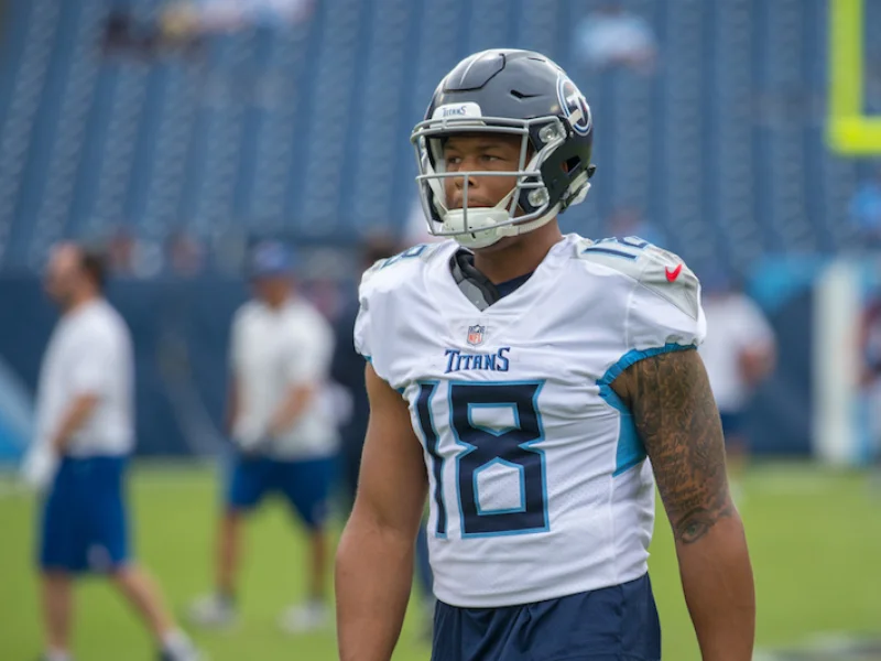 Rishard Matthews, Tennessee Titans